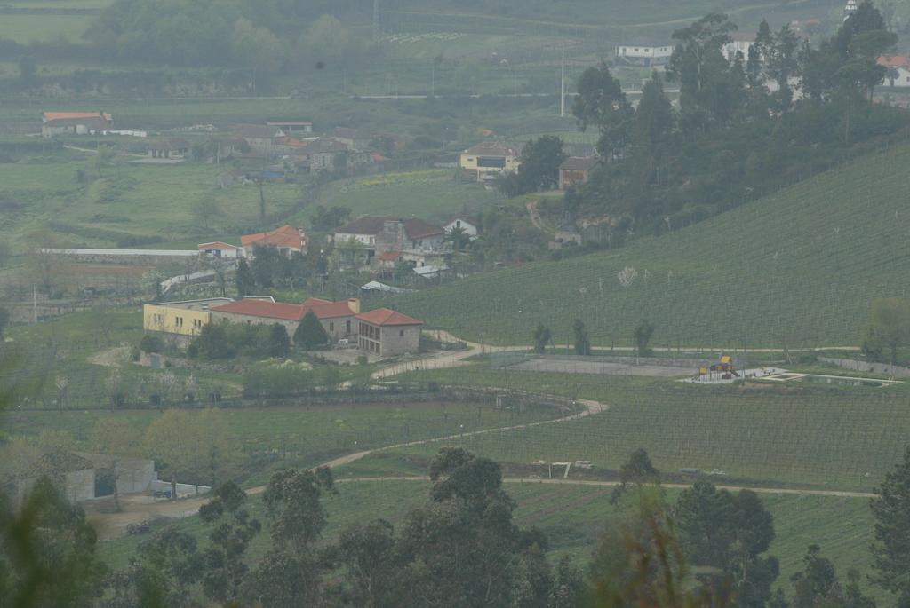 Quinta De Lourosa Pension Lousada Buitenkant foto