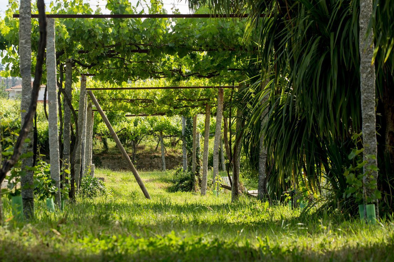 Quinta De Lourosa Pension Lousada Buitenkant foto
