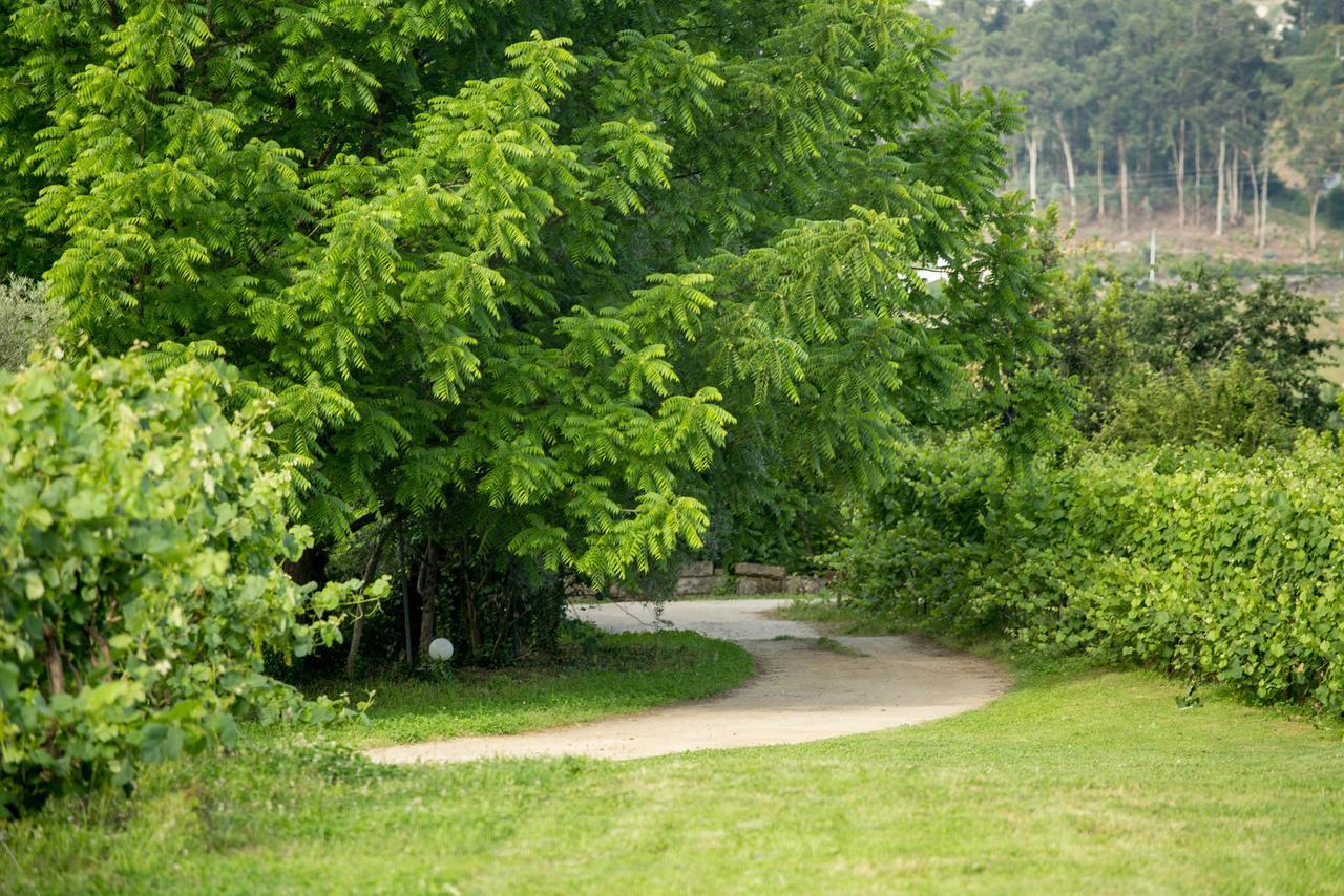 Quinta De Lourosa Pension Lousada Buitenkant foto