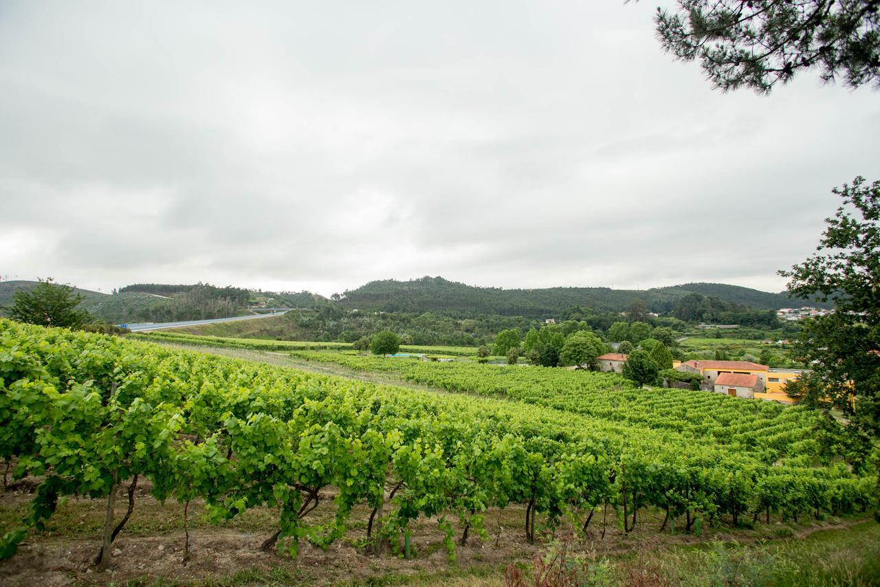 Quinta De Lourosa Pension Lousada Buitenkant foto